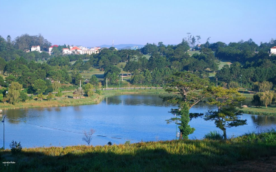 Thiết bị (máy) phân tích nước