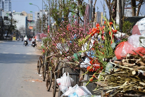 Rác thải hoa, cây cảnh sau tết