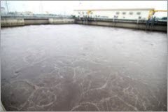 Bể điều hòa nước thải nhà máy giấy